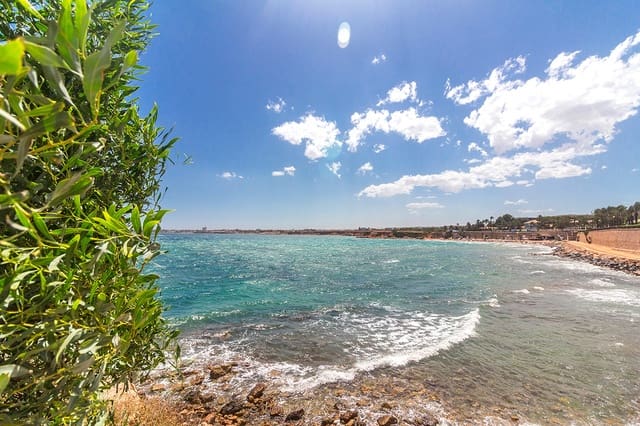 3 Zimmer Apartment zu verkaufen in Punta Prima, Torrevieja mit Pool - 420.000 € (Ref: 7532842)