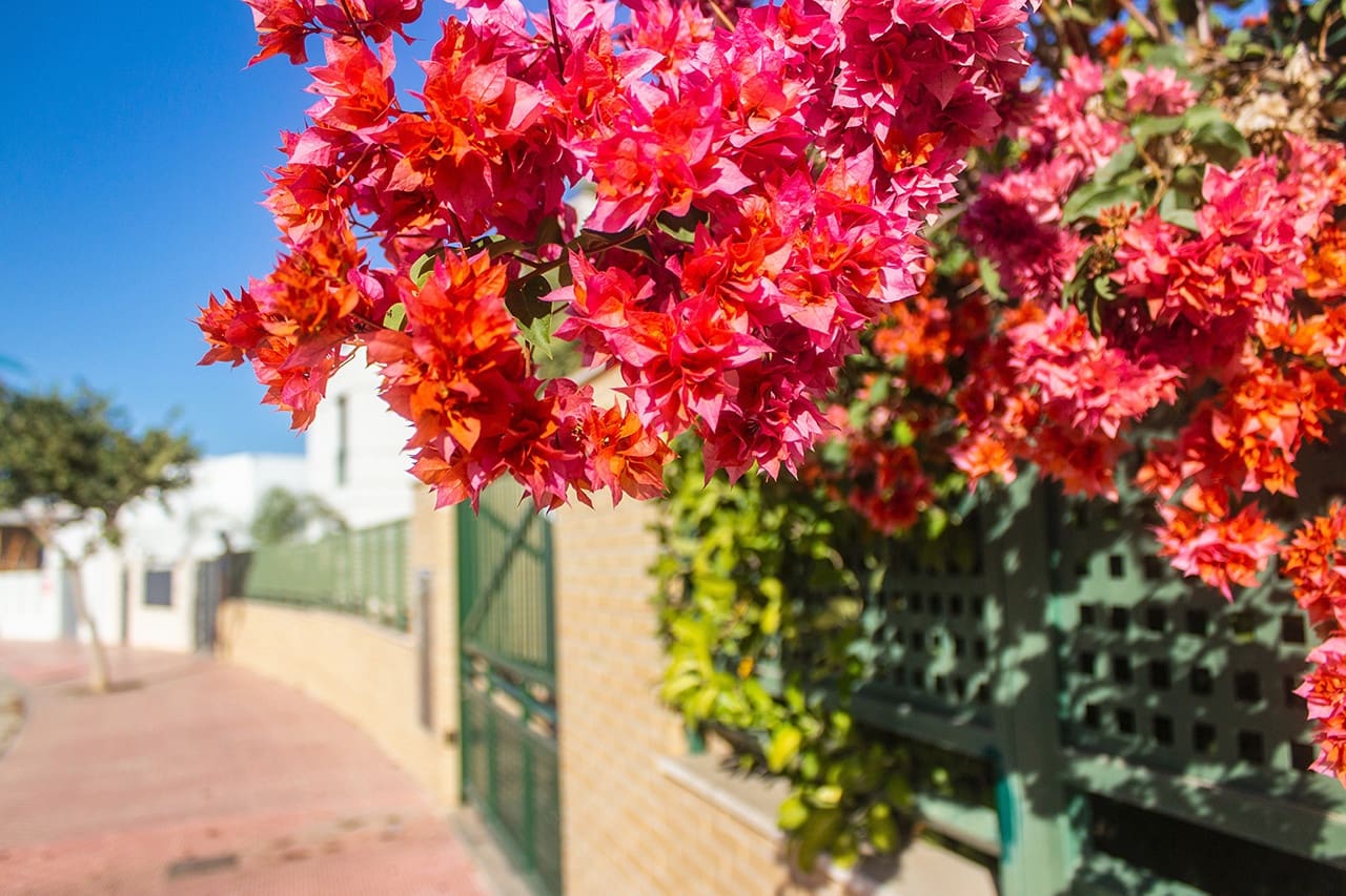 3 Zimmer Villa zu verkaufen in Ciudad Quesada mit Pool - 739.900 € (Ref: 7853784)