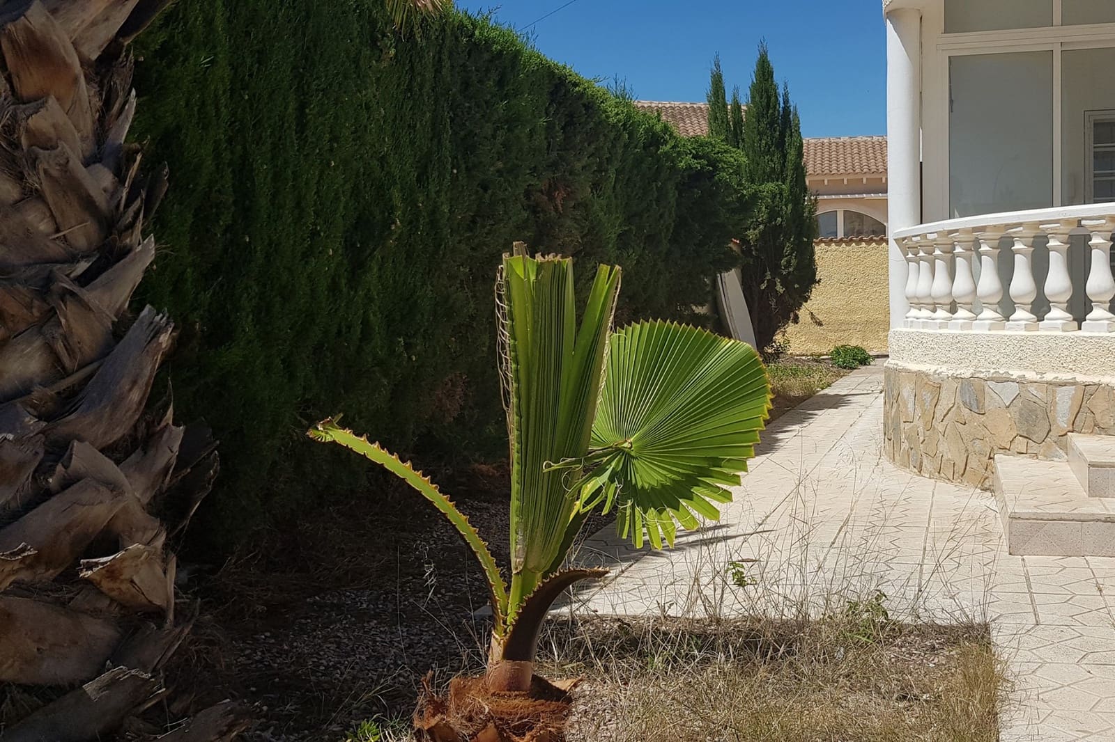 6 chambre Villa/Maison à vendre à Ciudad Quesada avec piscine garage - 499 000 € (Ref: 8997550)