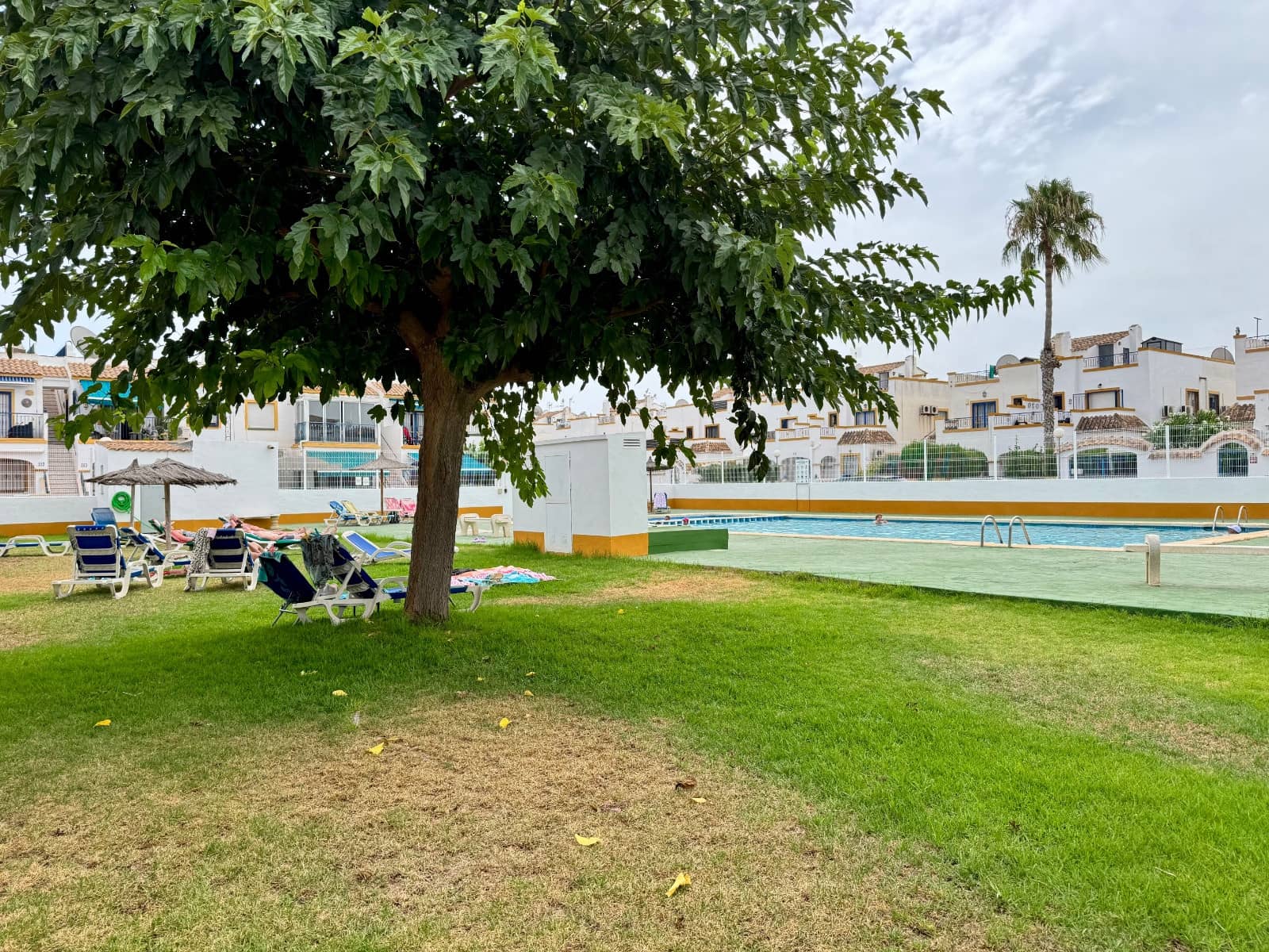 3 Zimmer Haus zu verkaufen in Torrevieja mit Pool - 200.000 € (Ref: 9133484)