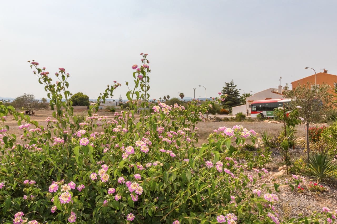 3 slaapkamer Appartement te koop in La Siesta met zwembad - € 158.000 (Ref: 9180353)