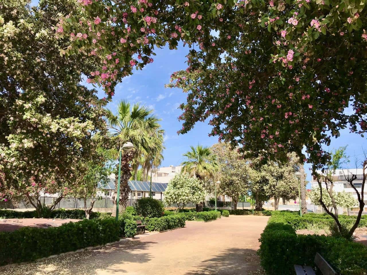 2 camera da letto Casa in vendita in Pilar de la Horadada - 226.000 € (Rif: 9181828)