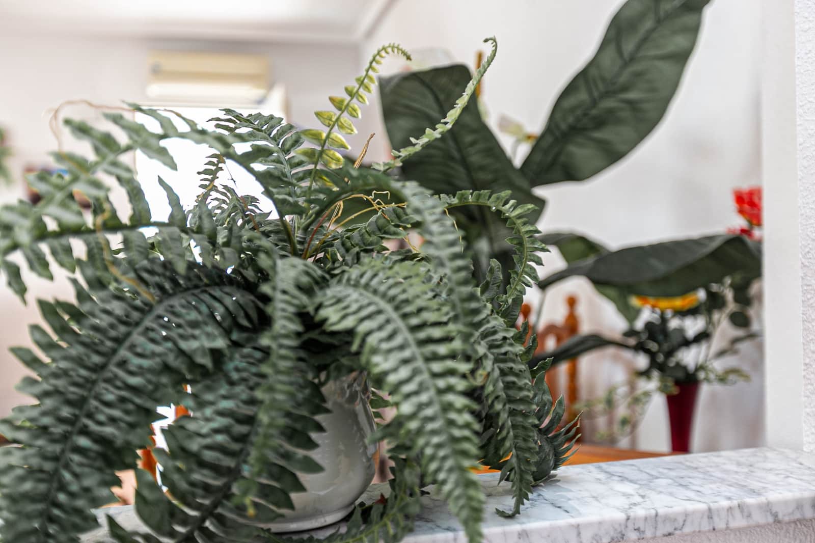 3 sypialnia Dom szeregowy na sprzedaż w Los Altos z basenem - 195 000 € (Ref: 9352850)