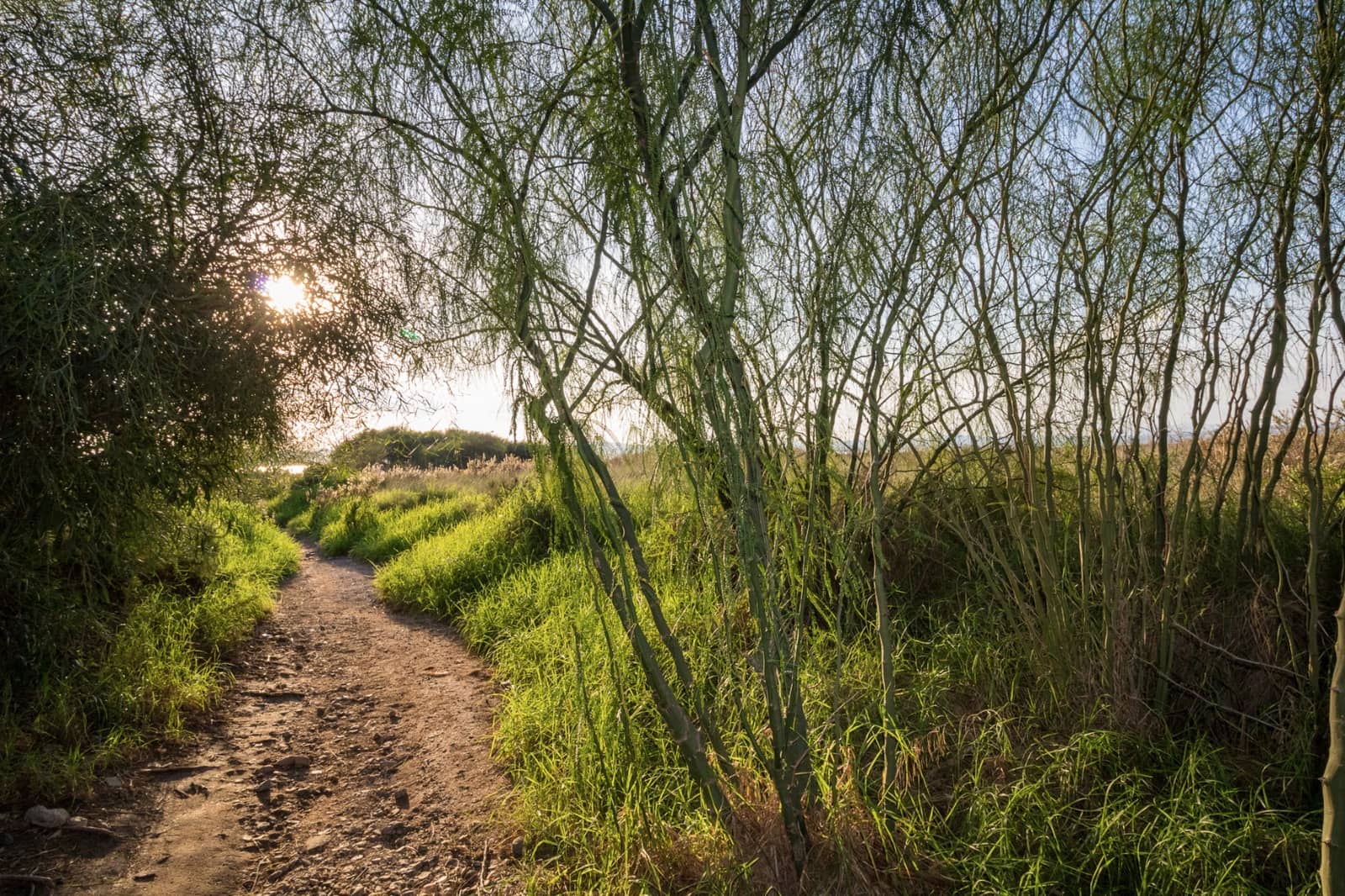 1 slaapkamer Bungalow te koop in Torrevieja - € 149.000 (Ref: 9402680)