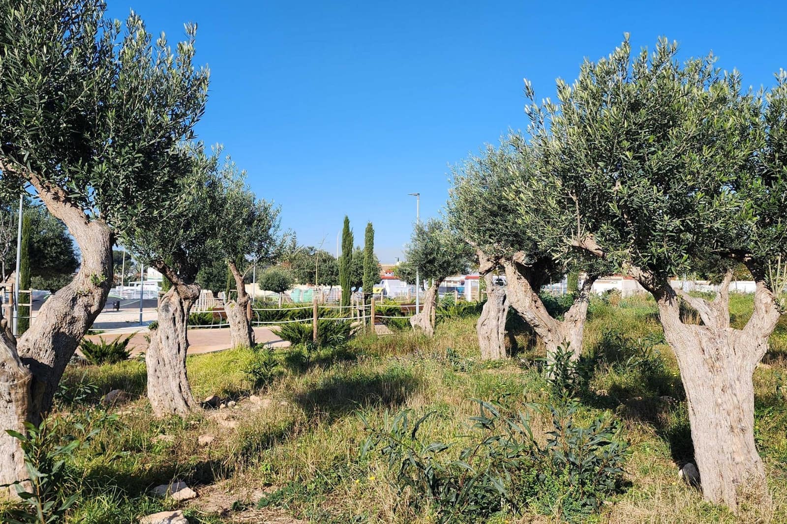 2 Zimmer Haus zu verkaufen in Torrevieja mit Pool - 139.000 € (Ref: 9626376)