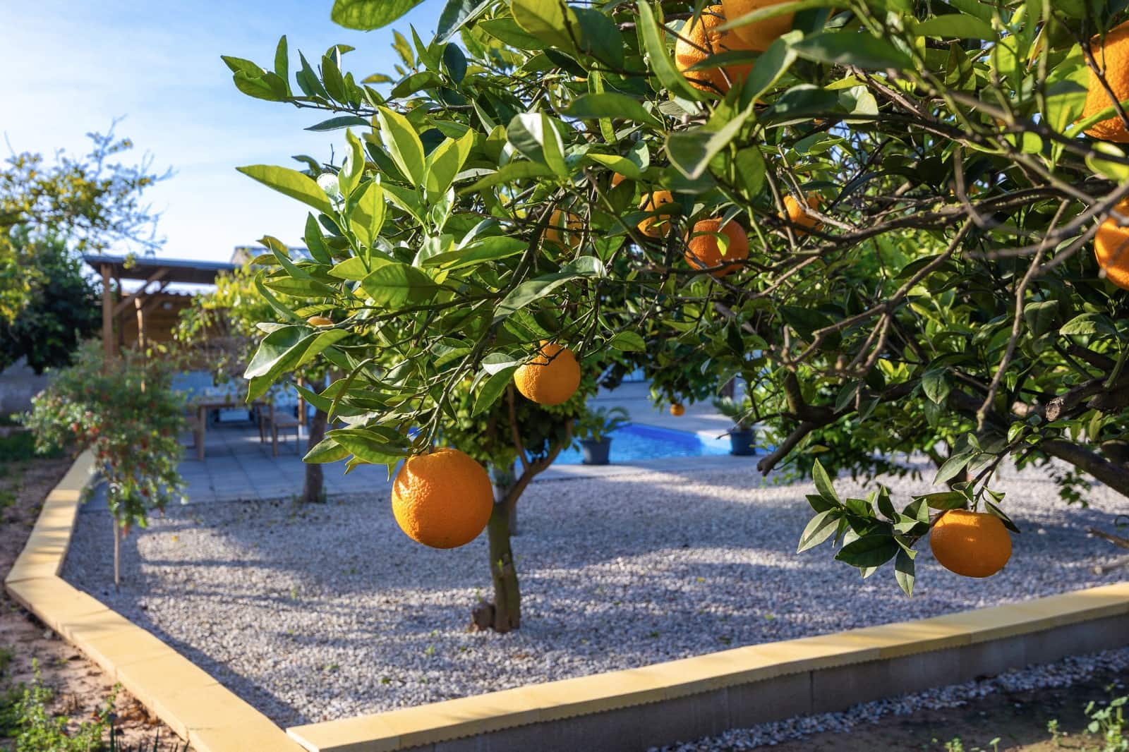 3 Zimmer Villa zu verkaufen in Los Montesinos mit Pool - 329.900 € (Ref: 9653037)