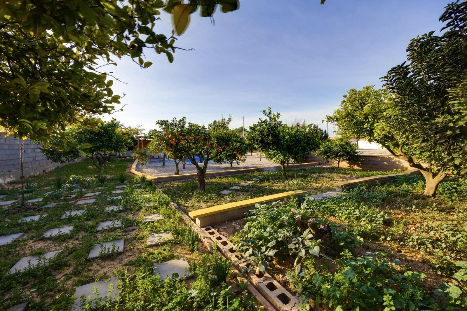 3 Zimmer Villa zu verkaufen in Los Montesinos mit Pool - 329.900 € (Ref: 9653037)