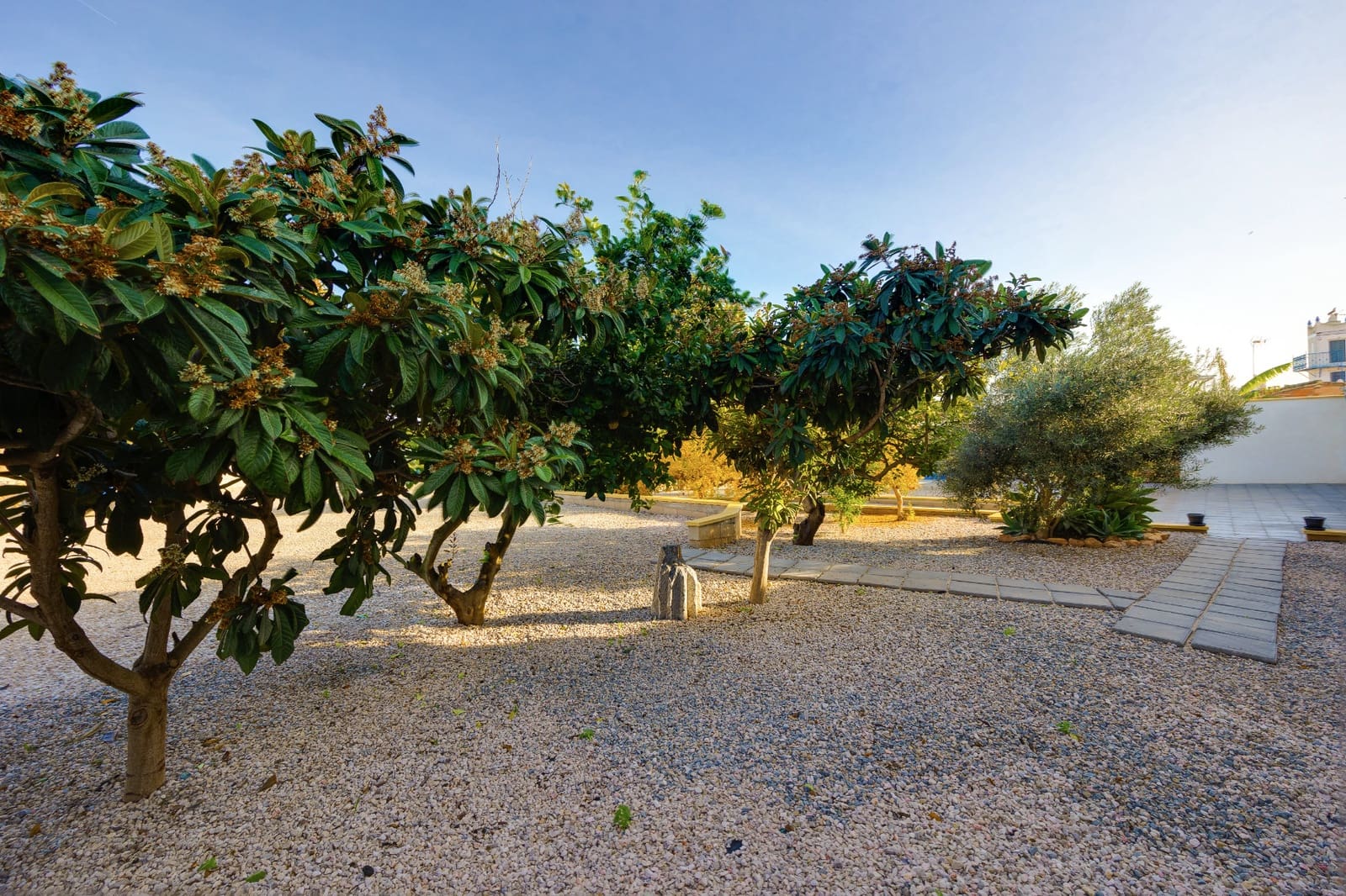 3 Zimmer Villa zu verkaufen in Los Montesinos mit Pool - 329.900 € (Ref: 9653037)