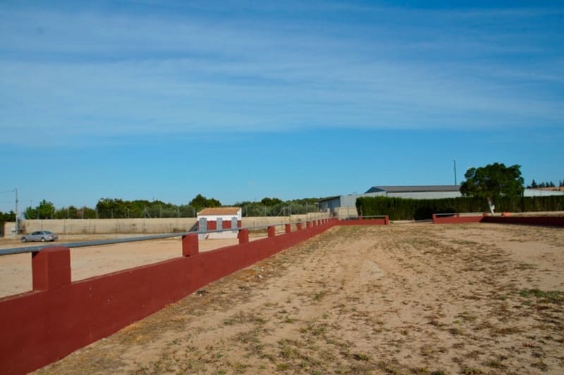 Finca/Casa di Campagna in vendita in San Miguel de Salinas - 430.000 € (Rif: 9678209)