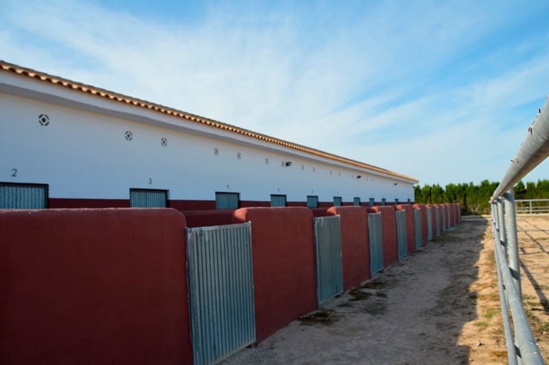 Finca/Casa di Campagna in vendita in San Miguel de Salinas - 430.000 € (Rif: 9678209)