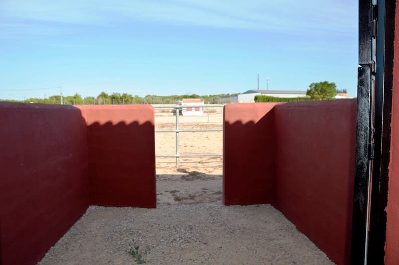 Finca/Casa di Campagna in vendita in San Miguel de Salinas - 430.000 € (Rif: 9678209)