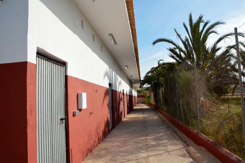 Finca/Casa di Campagna in vendita in San Miguel de Salinas - 430.000 € (Rif: 9678209)