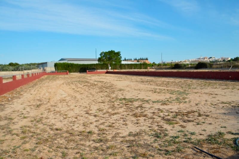 Finca/Casa di Campagna in vendita in San Miguel de Salinas - 430.000 € (Rif: 9678209)