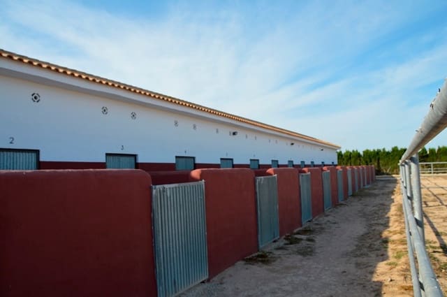 Finca/Casa di Campagna in vendita in San Miguel de Salinas - 430.000 € (Rif: 9678209)