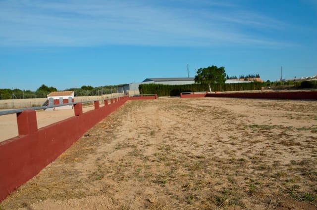 Finca/Casa di Campagna in vendita in San Miguel de Salinas - 430.000 € (Rif: 9678209)