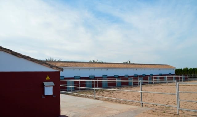 Finca/Casa di Campagna in vendita in San Miguel de Salinas - 430.000 € (Rif: 9678209)