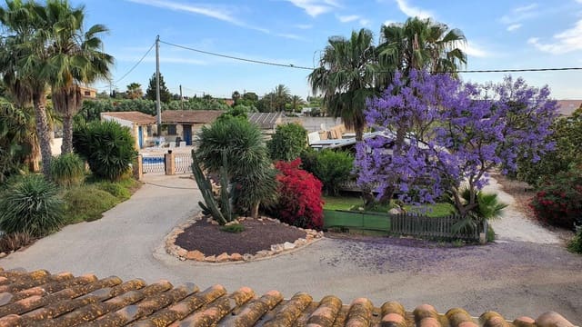 8 camera da letto Finca/Casa di Campagna in vendita in Los Montesinos con piscina garage - 1.500.000 € (Rif: 9819347)