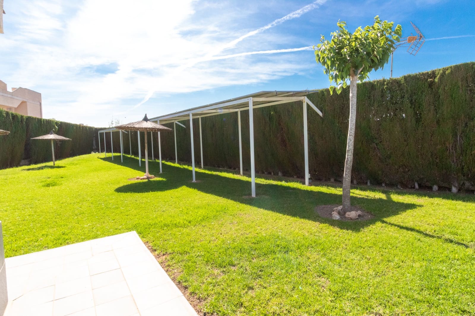 3 bedroom Bungalow for sale in San Luis with pool - € 125,000 (Ref: 9832768)