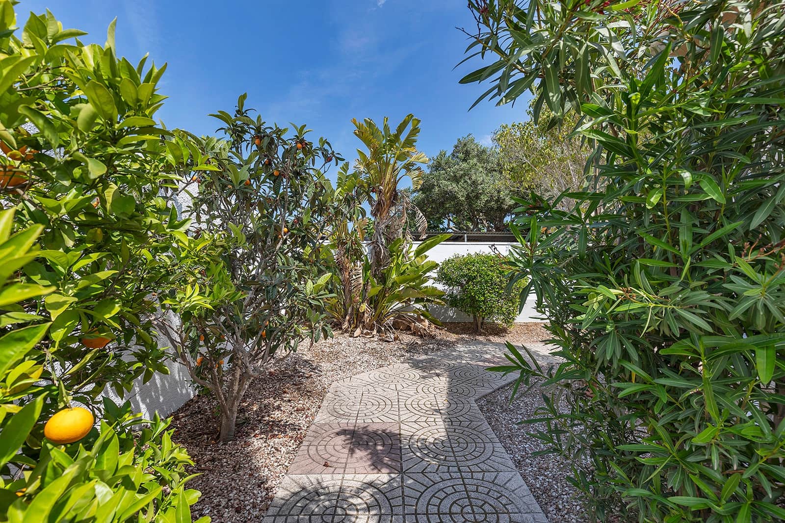 3 soveværelse Villa til salg i La Marina med swimmingpool - € 490.000 (Ref: 9834093)