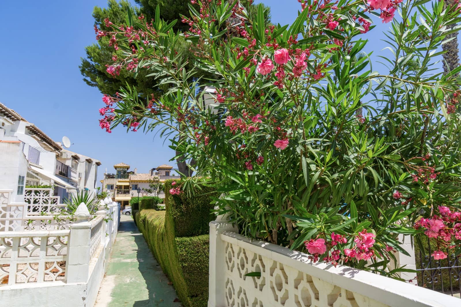 1 quarto Apartamento para venda em Los Balcones com piscina - 99 950 € (Ref: 9877261)