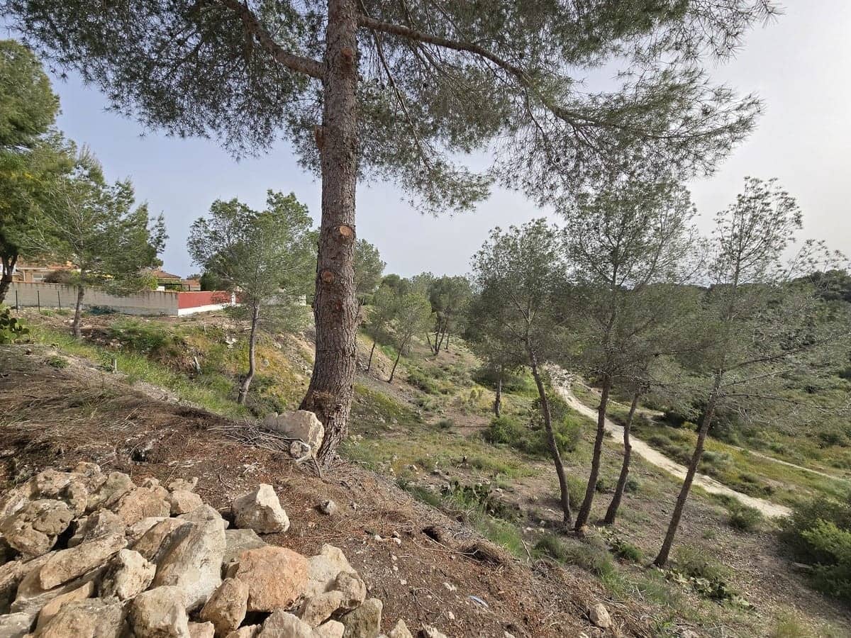 3 soveværelse Villa til salg i Pinar de Campoverde med swimmingpool garage - € 640.000 (Ref: 9928185)