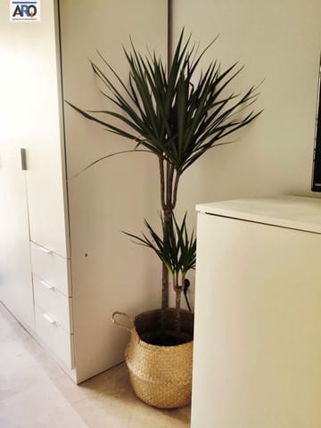 Monolocale in vendita in Malaga città - 203.950 € (Rif: 10020925)