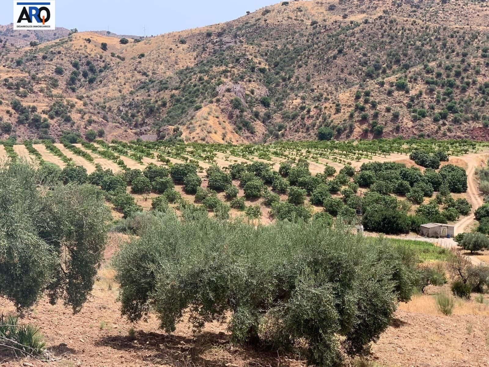 Grunde uden byggetilladelser til salg i Puerto de la Torre - € 1.150.000 (Ref: 9262515)