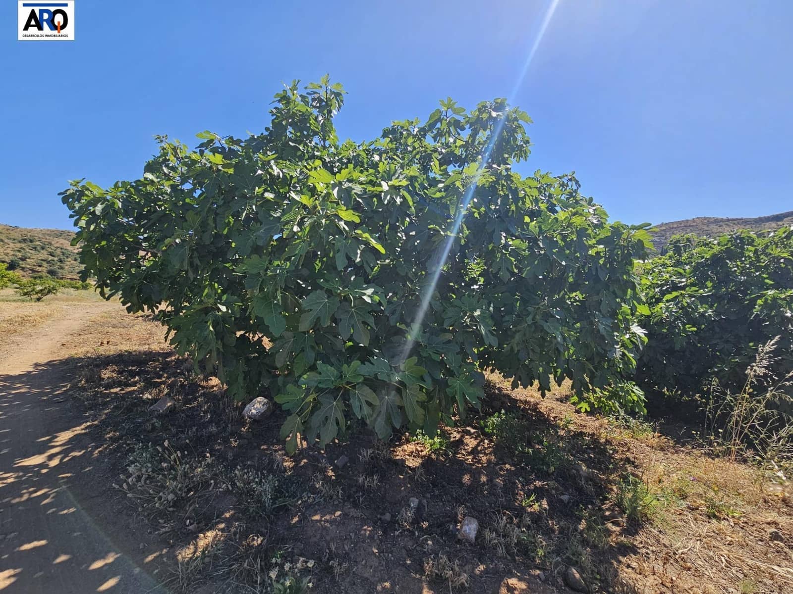 Grunde uden byggetilladelser til salg i Puerto de la Torre - € 1.150.000 (Ref: 9262515)