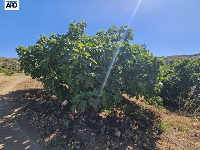 Ubebygd land til salgs i Puerto de la Torre, Málaga by - € 1 150 000 (Ref: 9262515)