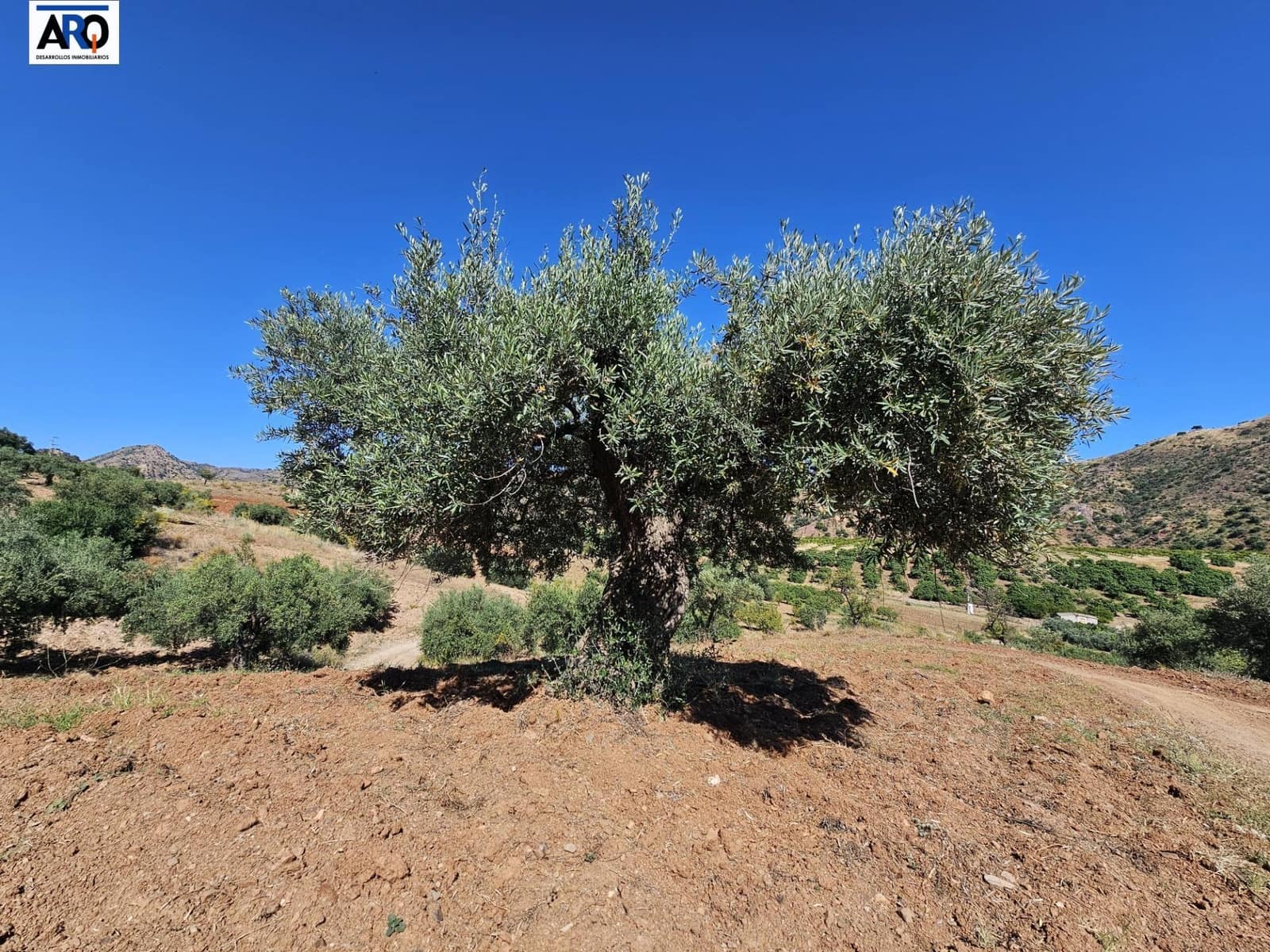 Grond te koop in Puerto de la Torre - € 1.050.000 (Ref: 9262515)