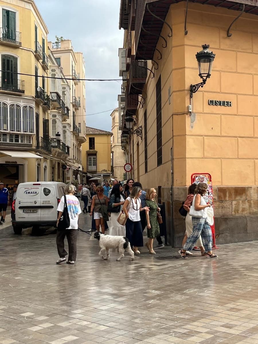 4 soveværelse Kontor til salg i Malaga by - € 550.000 (Ref: 9296812)