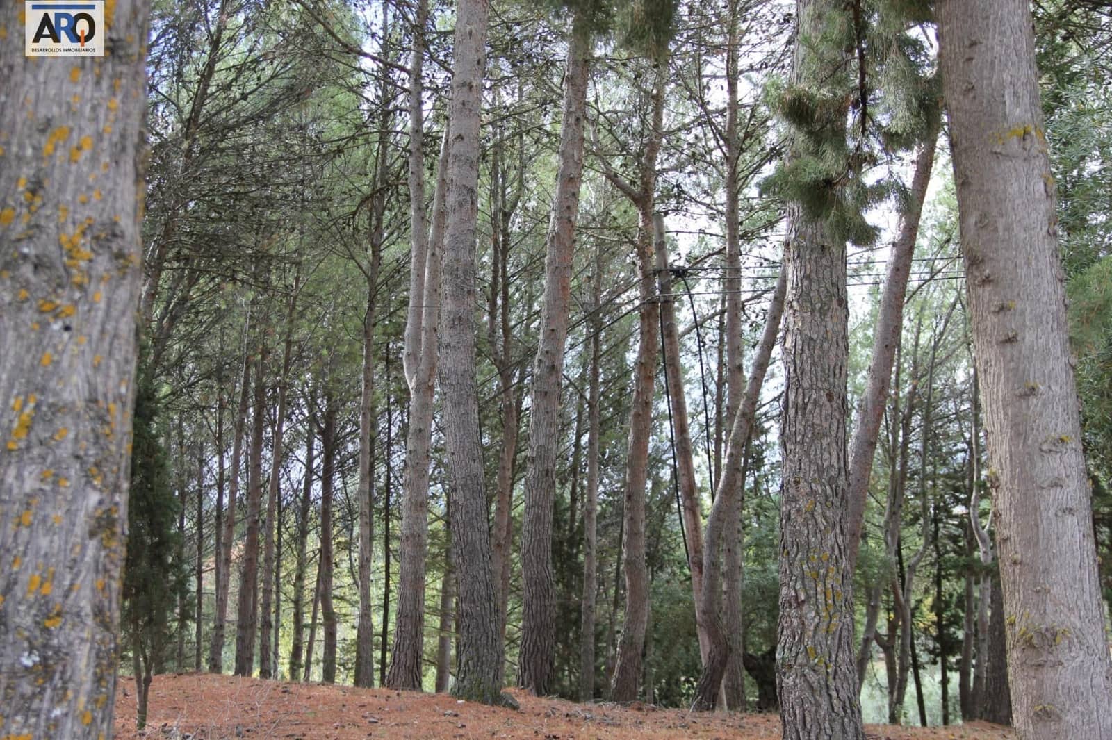 Finca/Casa Rural de 2 habitaciones en Ronda en venta - 490.000 € (Ref: 9978786)