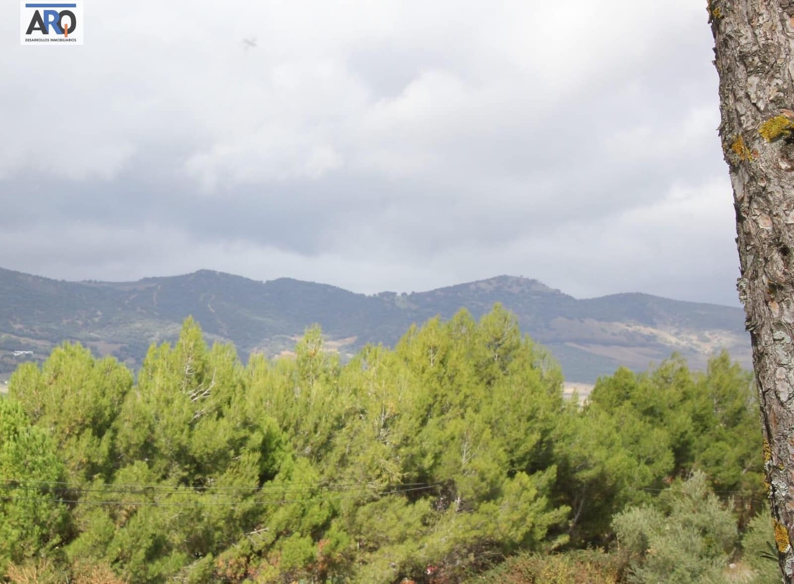 Finca/Casa Rural de 2 habitaciones en Ronda en venta - 490.000 € (Ref: 9978786)
