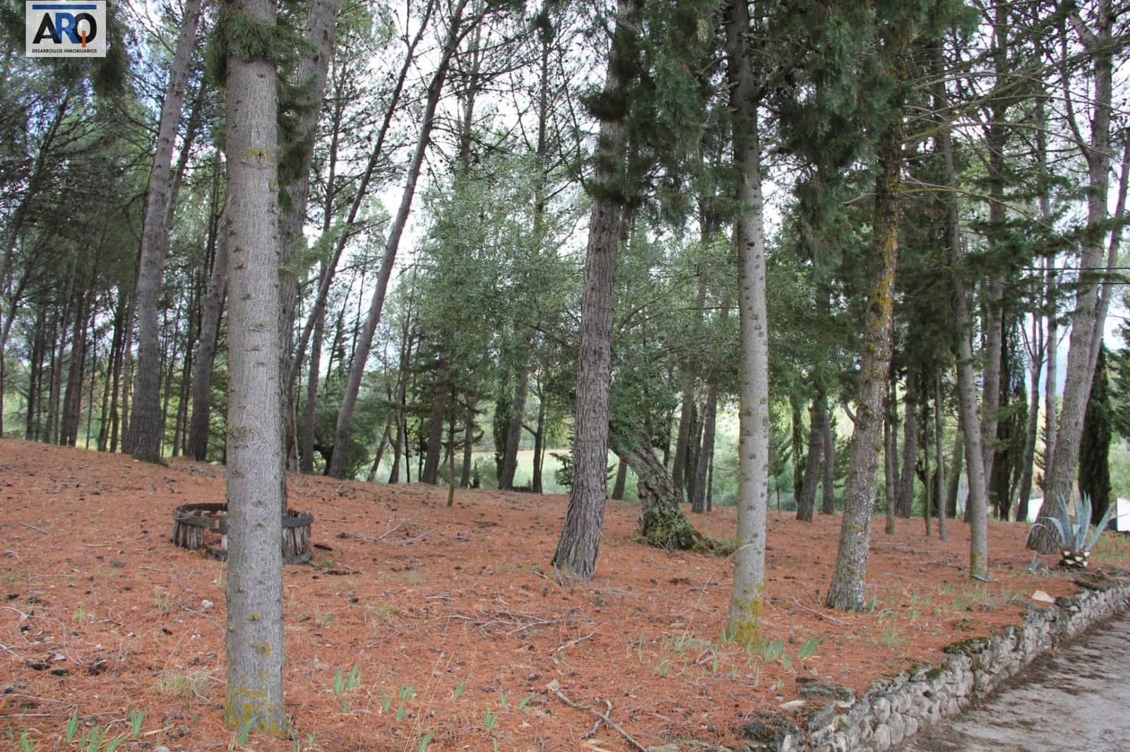 Finca/Casa Rural de 2 habitaciones en Ronda en venta - 490.000 € (Ref: 9978786)