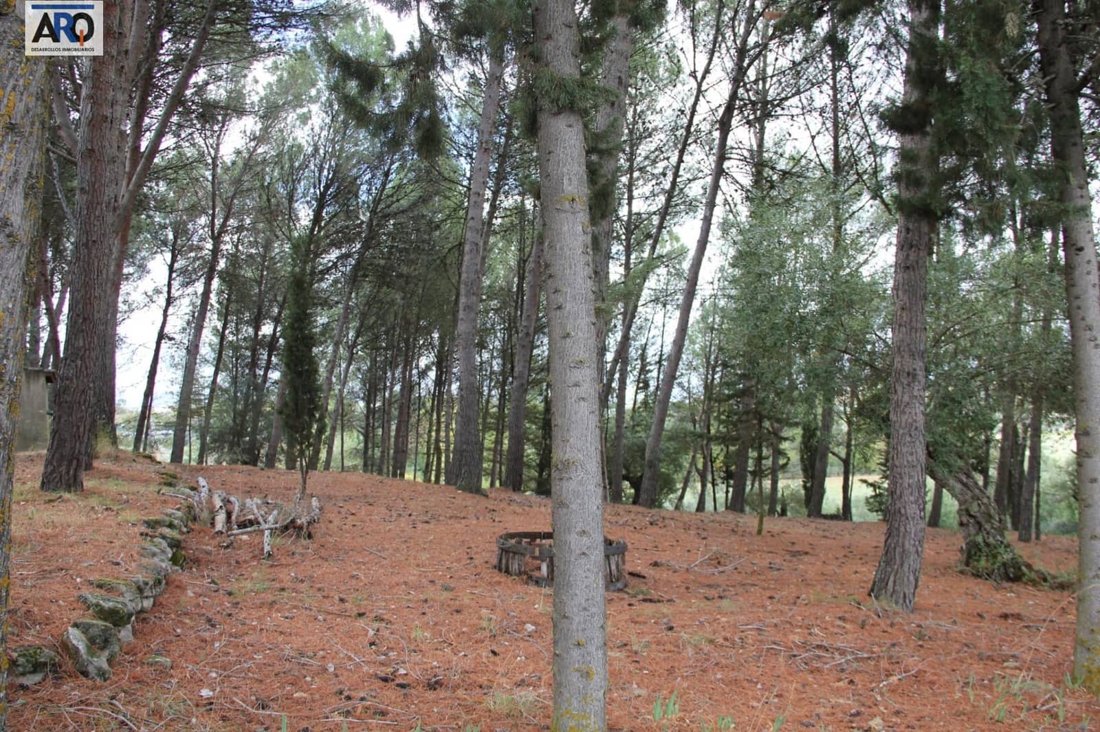Finca/Casa Rural de 2 habitaciones en Ronda en venta - 490.000 € (Ref: 9978786)
