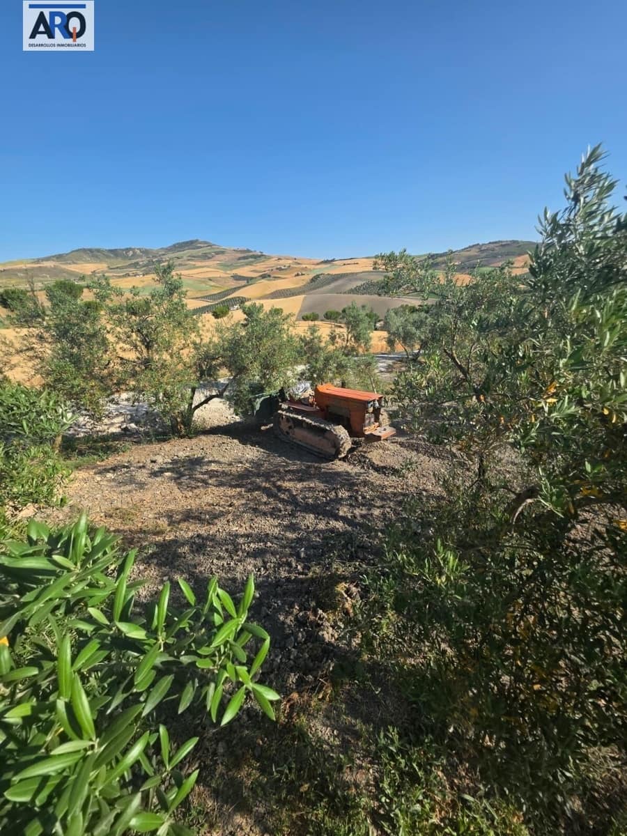 3 Zimmer Finca/Landgut zu verkaufen in Ronda mit Pool Garage - 311.000 € (Ref: 9978789)