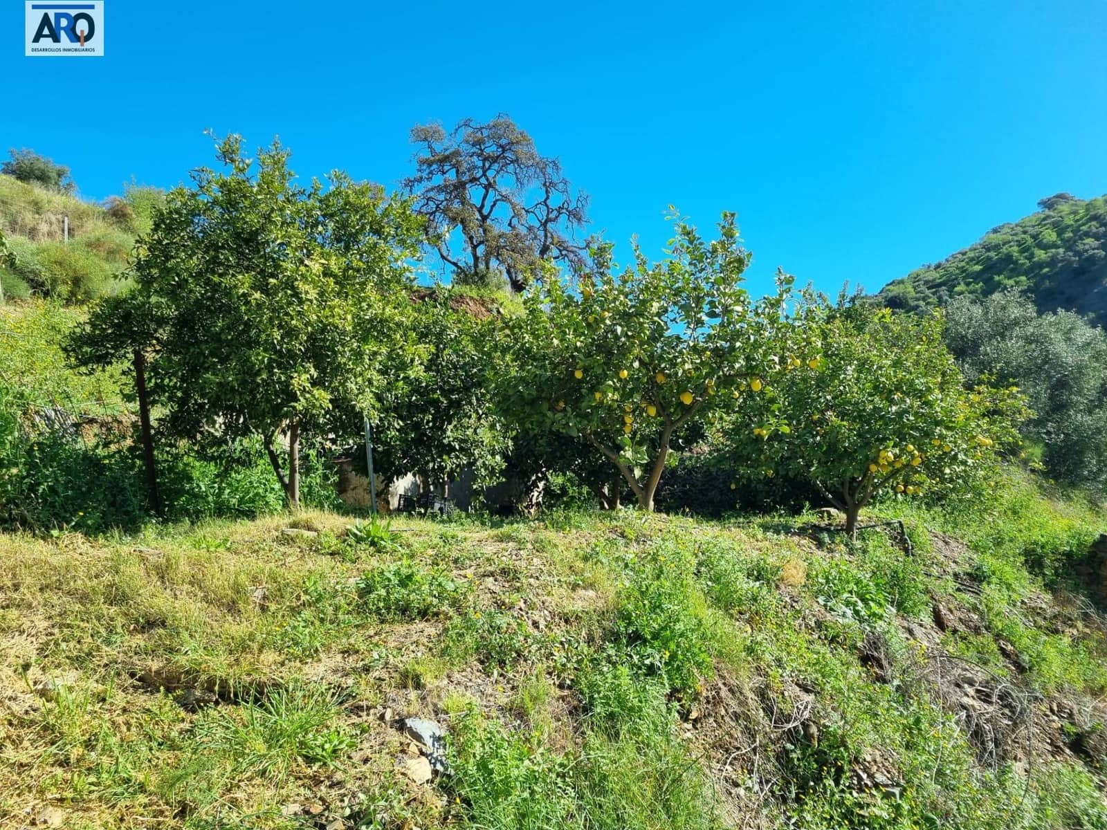 2 slaapkamer Finca/Landhuis te koop in Totalan - € 280.000 (Ref: 9978795)