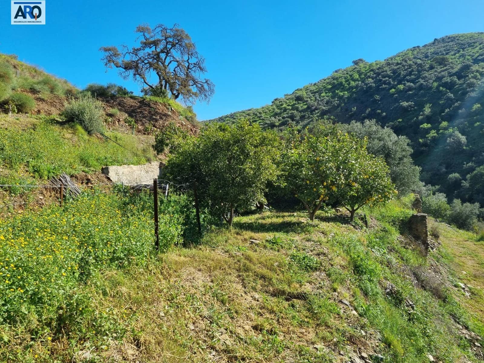 2 slaapkamer Finca/Landhuis te koop in Totalan - € 280.000 (Ref: 9978795)