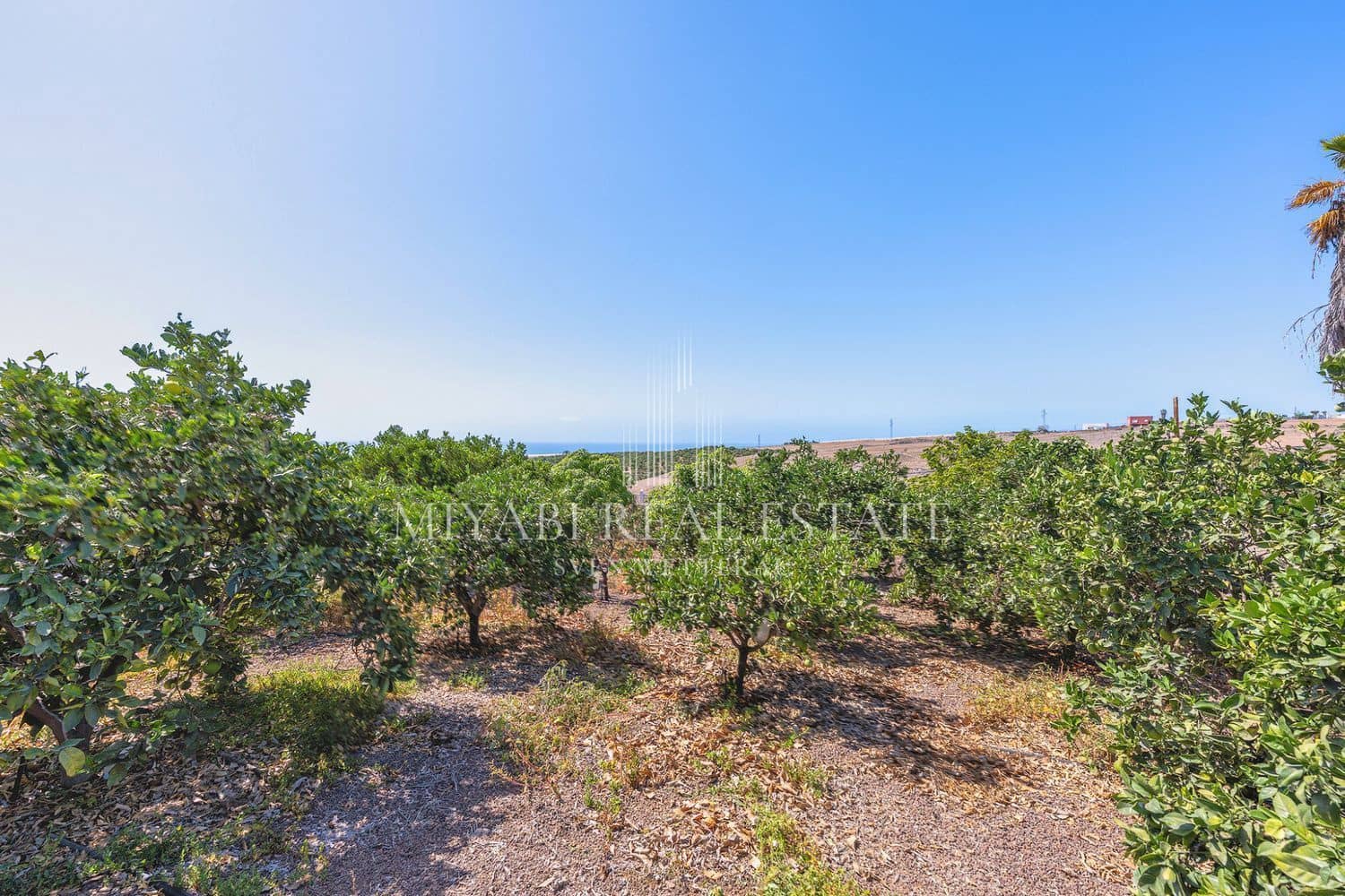 6 chambre Villa/Maison à vendre à El Salobre avec piscine - 950 000 € (Ref: 9410945)