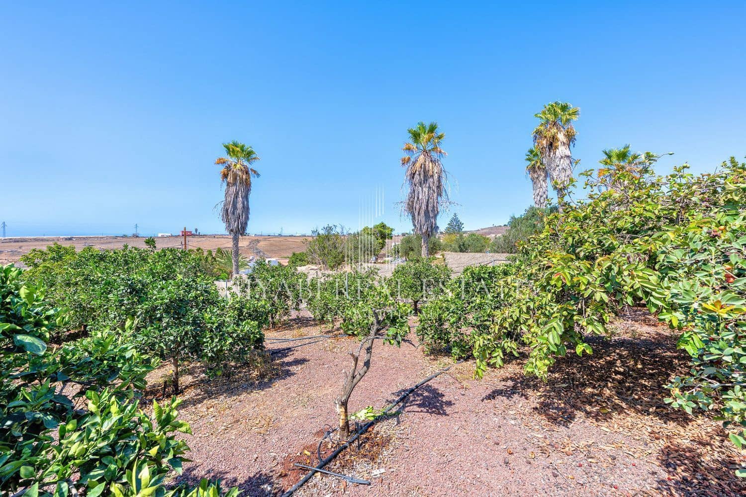 6 chambre Villa/Maison à vendre à El Salobre avec piscine - 950 000 € (Ref: 9410945)