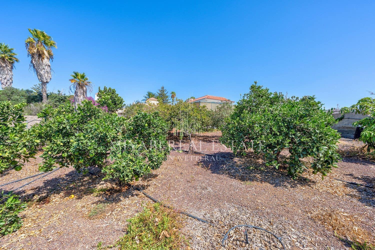 6 chambre Villa/Maison à vendre à El Salobre avec piscine - 950 000 € (Ref: 9410945)