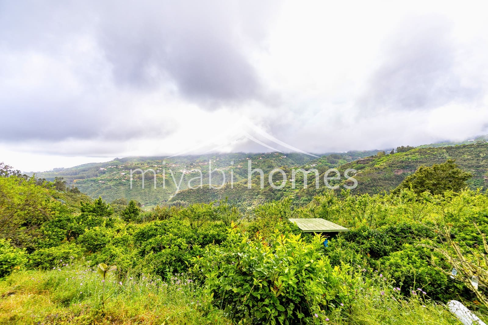 3 bedroom Finca/Country House for sale in Moya - € 360,000 (Ref: 9872580)
