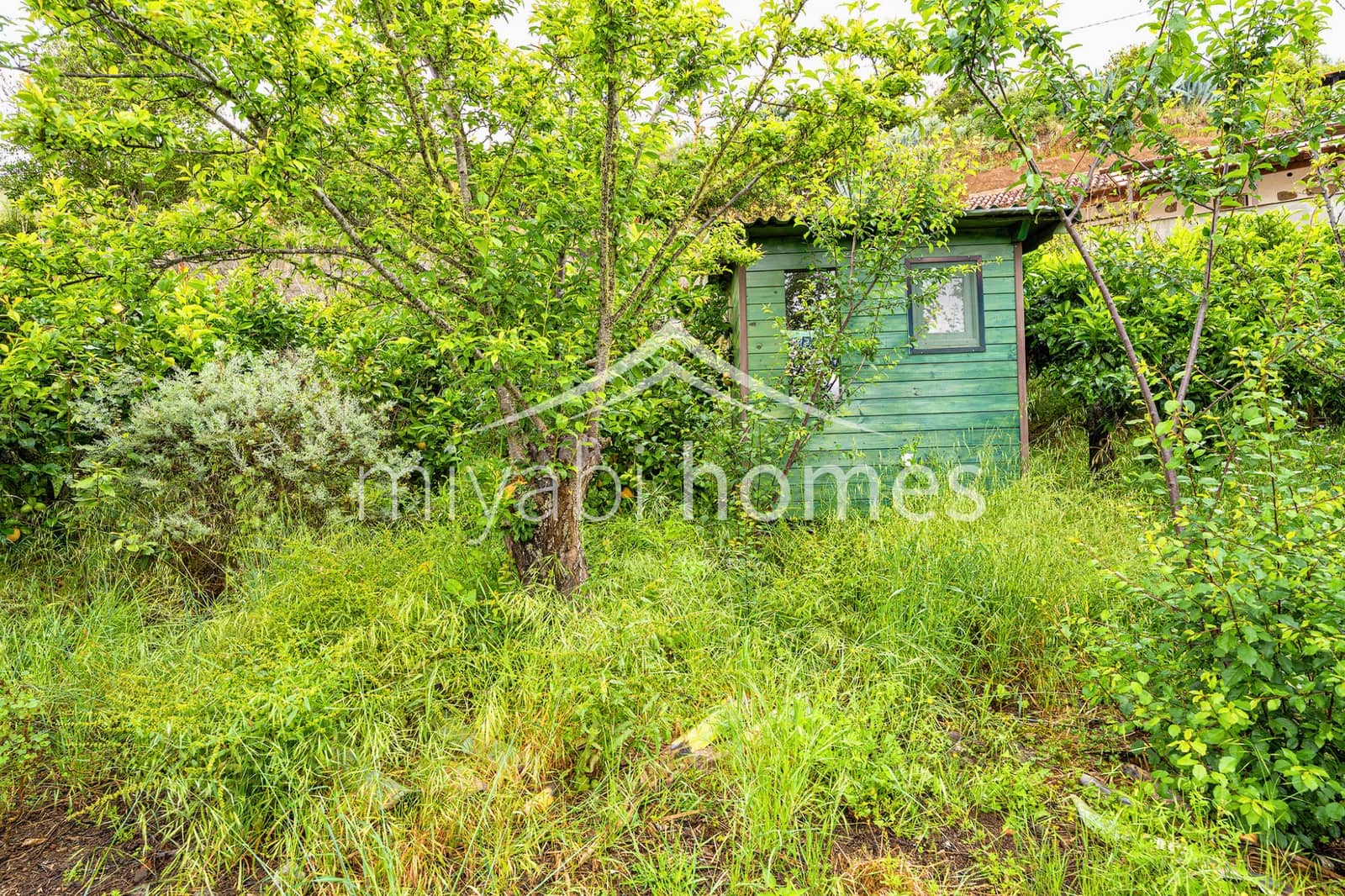 3 bedroom Finca/Country House for sale in Moya - € 360,000 (Ref: 9872580)