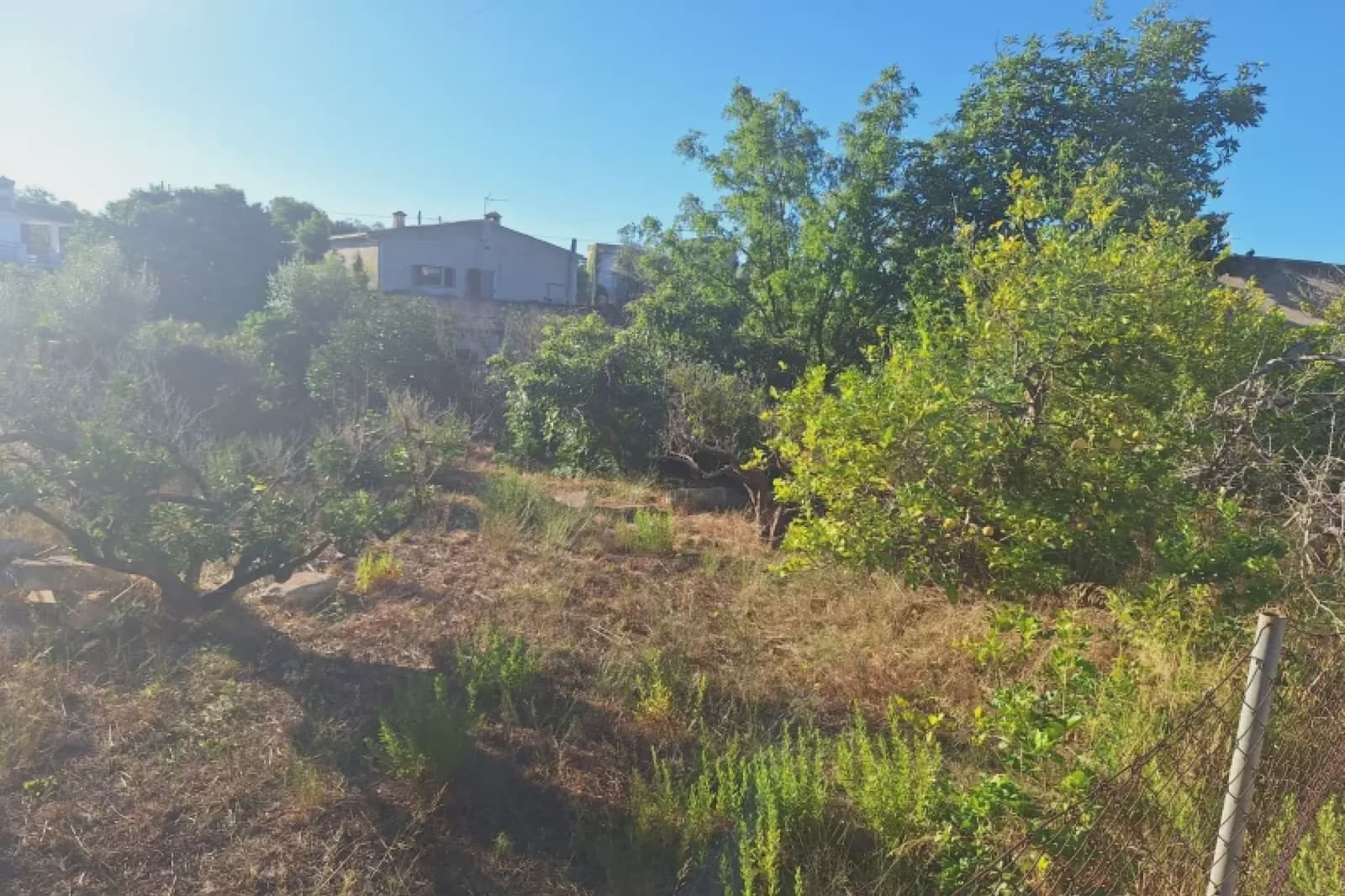 Area Edificabile in vendita in Sant Llorenc des Cardassar - 165.000 € (Rif: 10034475)