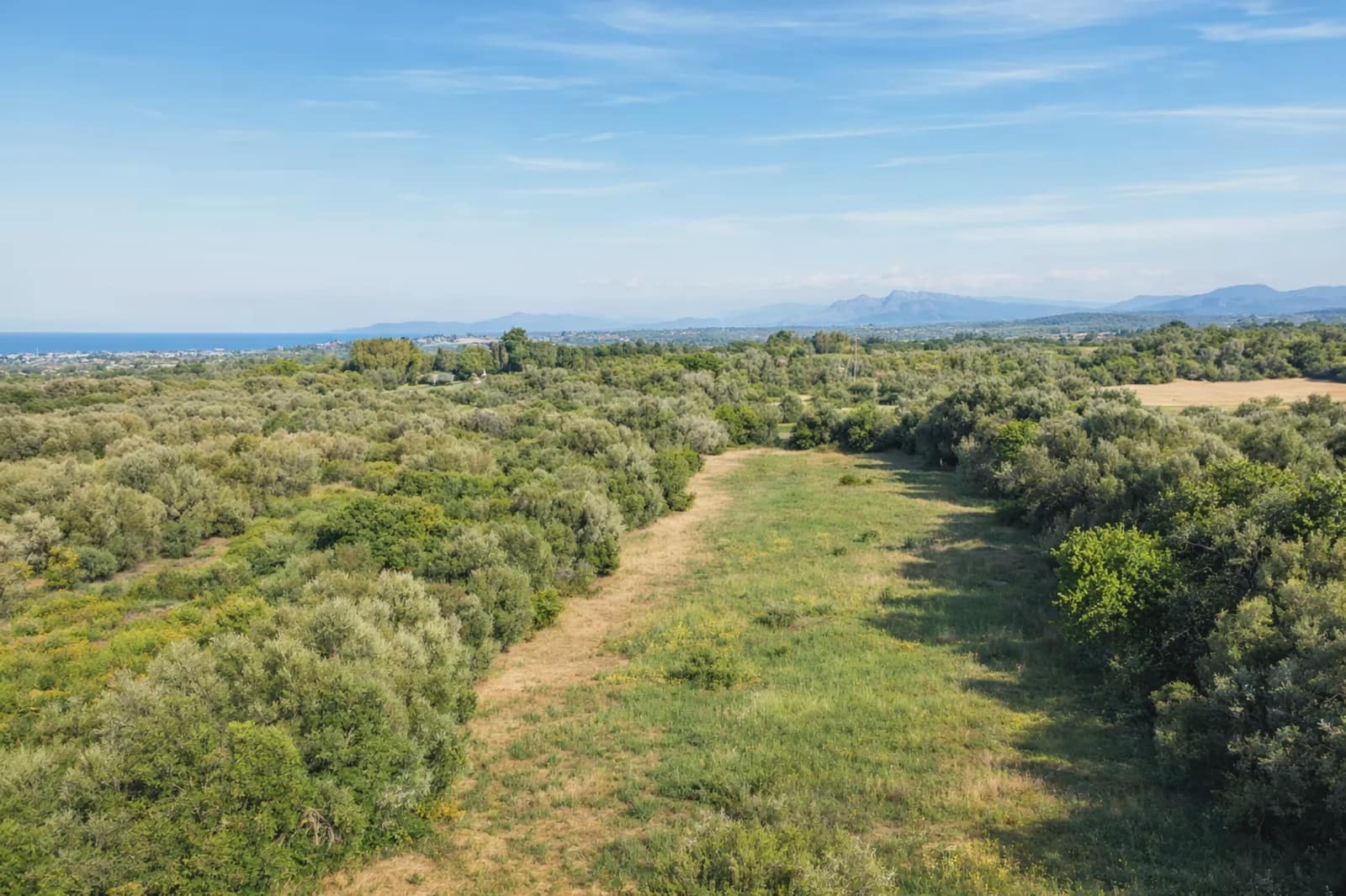 Terre non Aménagée à vendre à Muro - 250 000 € (Ref: 10041631)