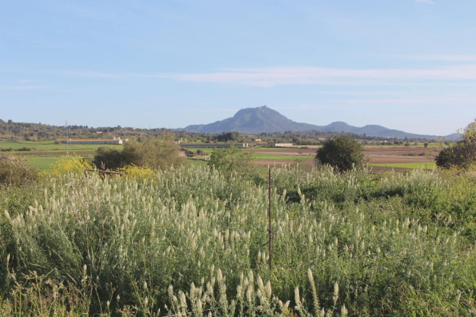 3 bedroom Finca/Country House for sale in Felanitx - € 636,000 (Ref: 2268385)