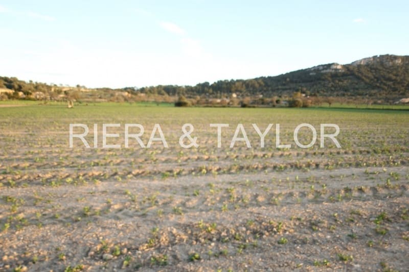 Grunde uden byggetilladelser til salg i Sineu - € 235.000 (Ref: 3472563)