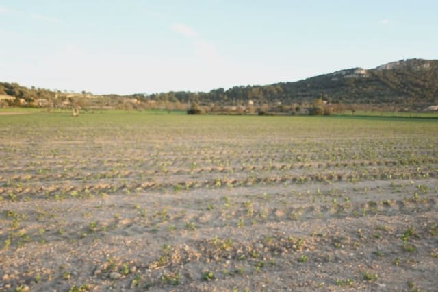 Landgrundstück zu verkaufen in Sineu - 235.000 € (Ref: 3472563)