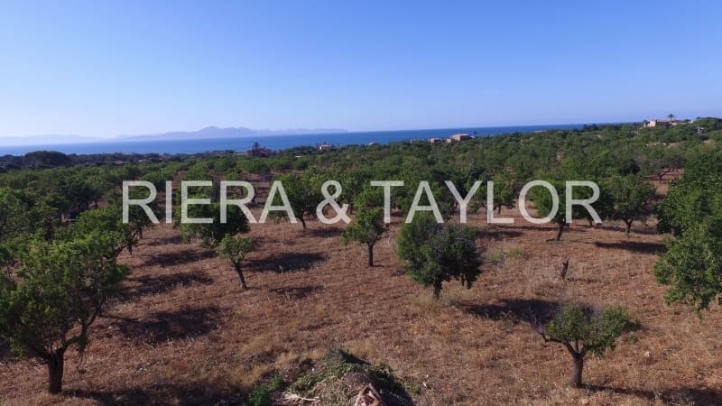 Finca/Herregård til salgs i Colonia de Sant Pere / Colonia de San Pedro - € 615 000 (Ref: 3621812)