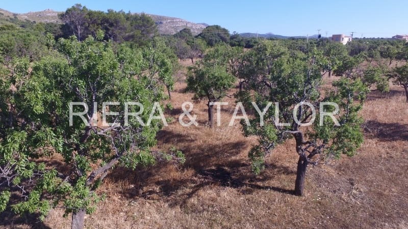 Finca/Herregård til salgs i Colonia de Sant Pere / Colonia de San Pedro - € 615 000 (Ref: 3621812)